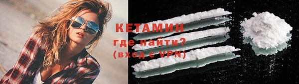 индика Богданович