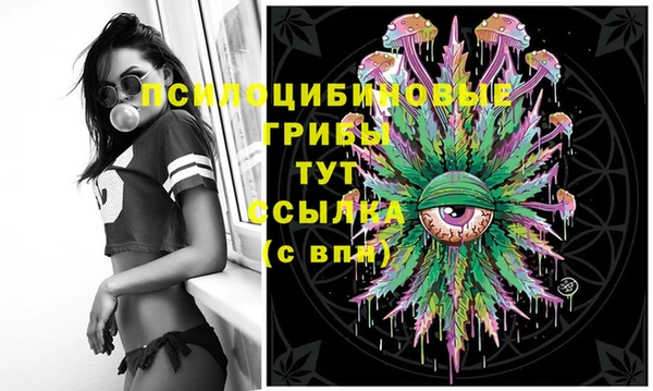 спиды Богородицк