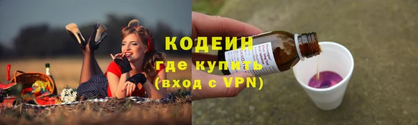 спиды Богородицк