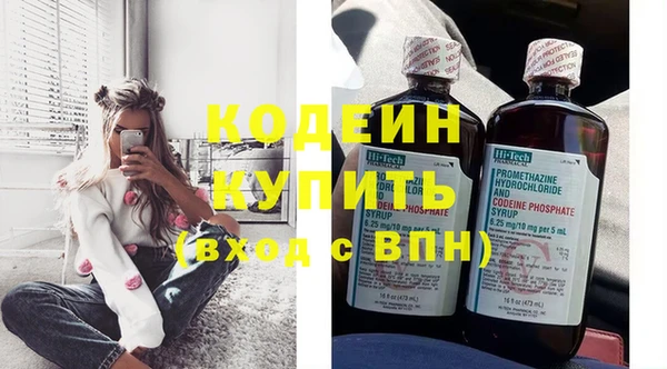 спиды Богородицк