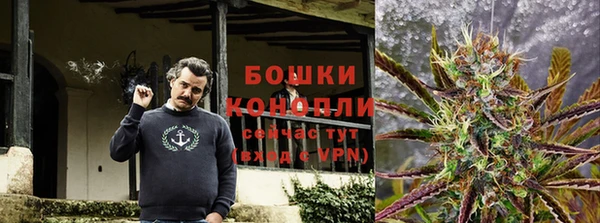 спиды Богородицк