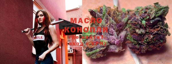 спиды Богородицк