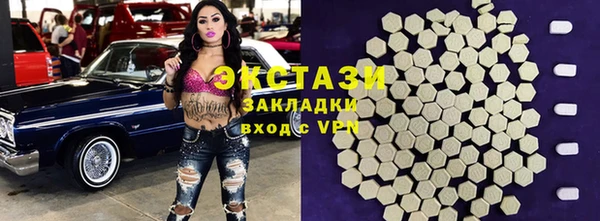 спиды Богородицк