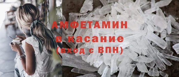 индика Богданович