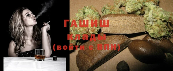 индика Богданович