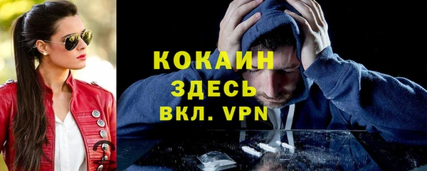 индика Богданович