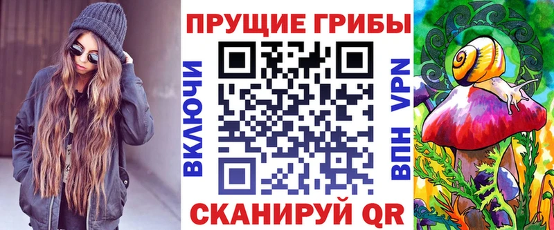 Галлюциногенные грибы Psilocybine cubensis  где найти   Горно-Алтайск 