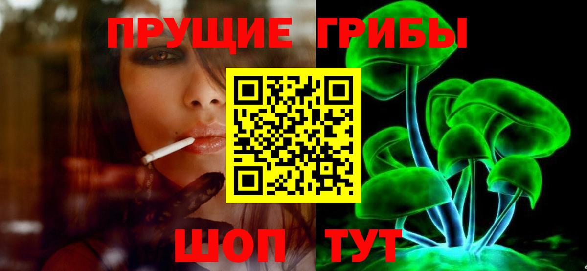Псилоцибиновые грибы Psilocybine cubensis  Вход с VPN  Горно-Алтайск  Галлюциногенные грибы MAGIC MUSHROOMS 